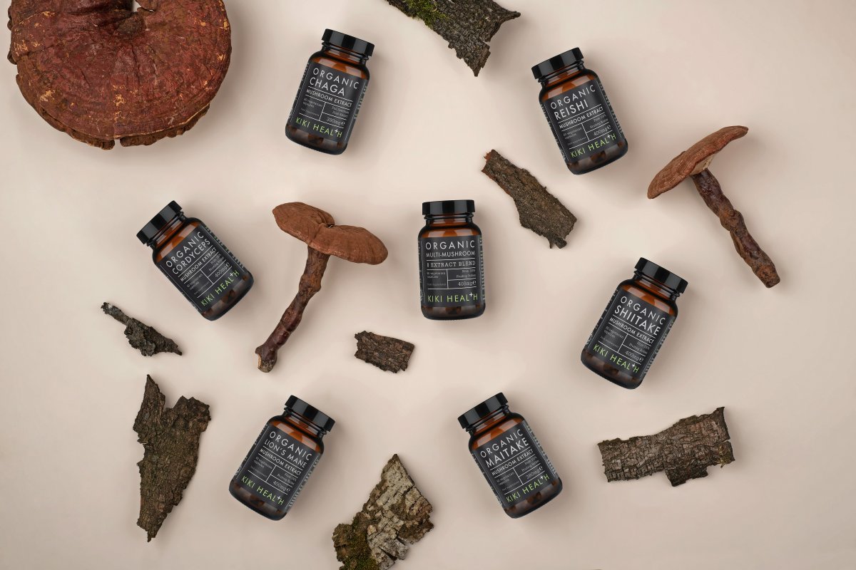 Medicinal Mushrooms and Their Benefits for the Immune System